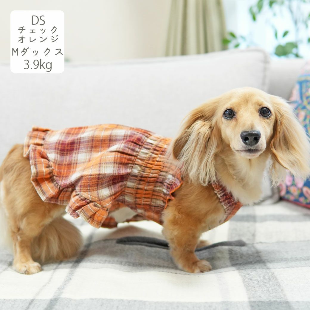 iDog fleur ギャザーフリルワンピ アイドッグ-犬猫用品通販 IDOG&ICAT