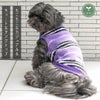 iDogボアタンクアイドッグ