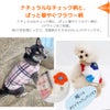 選べる2デザイン
