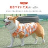 動きやすい工夫がいっぱいの犬用洋服