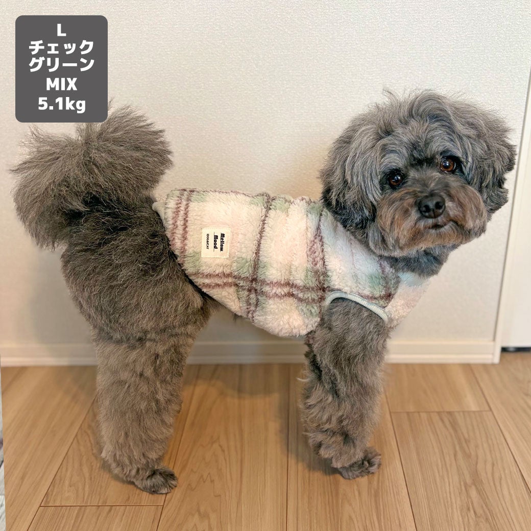 MIX5.1kg(首25/胴43/丈32cm)のごまくんはチェックグリーンのLを着用