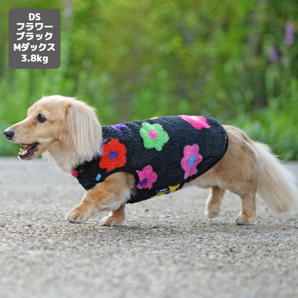 ミニチュアダックス3.8kg(首27/胴38/丈31cm)のクムちゃんはフラワーブラックのDSを着用