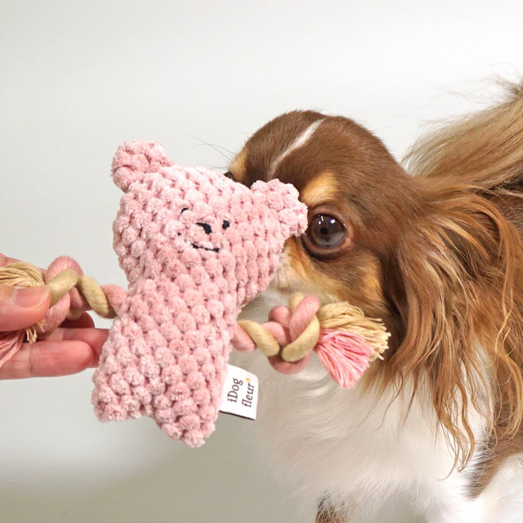 iDog ひっぱりくまさん 鳴き笛入り iDog fleur アイドッグ-犬猫ペット