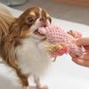 チワワ2.1kgのイトちゃんはピンクで遊んでくれました。