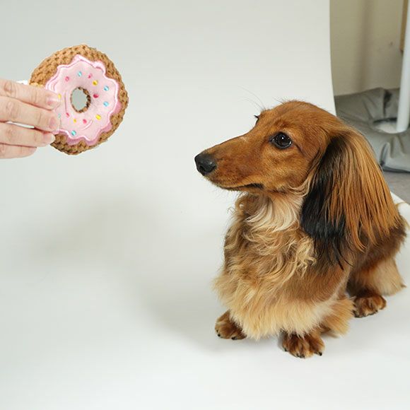 iDog ドーナッツ 鳴き笛入り アイドッグ-犬猫ペット用品通販 IDOG&ICAT