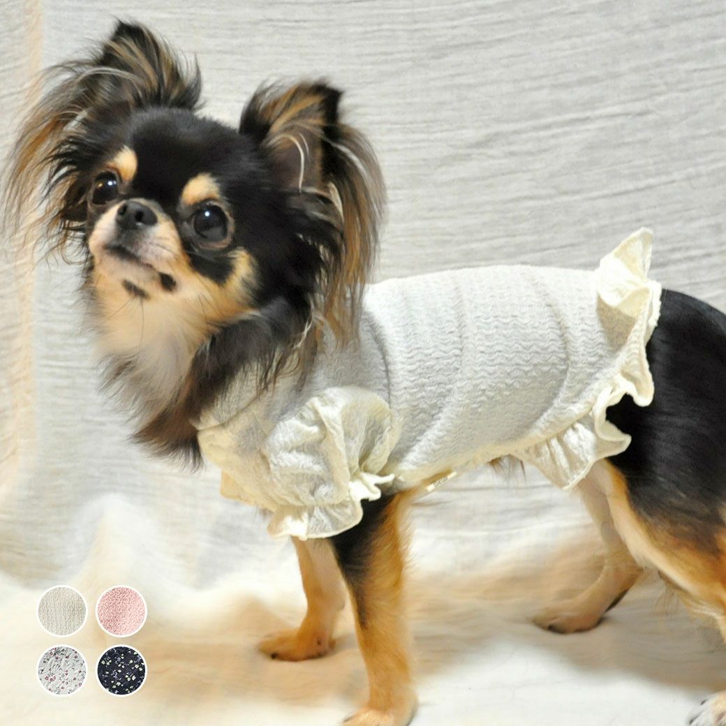犬服 フリル付きデニムとホワイトのブラウス18サイズ iDog フリルブラウス iDog fleur アイドッグ-犬猫ペット用品通販