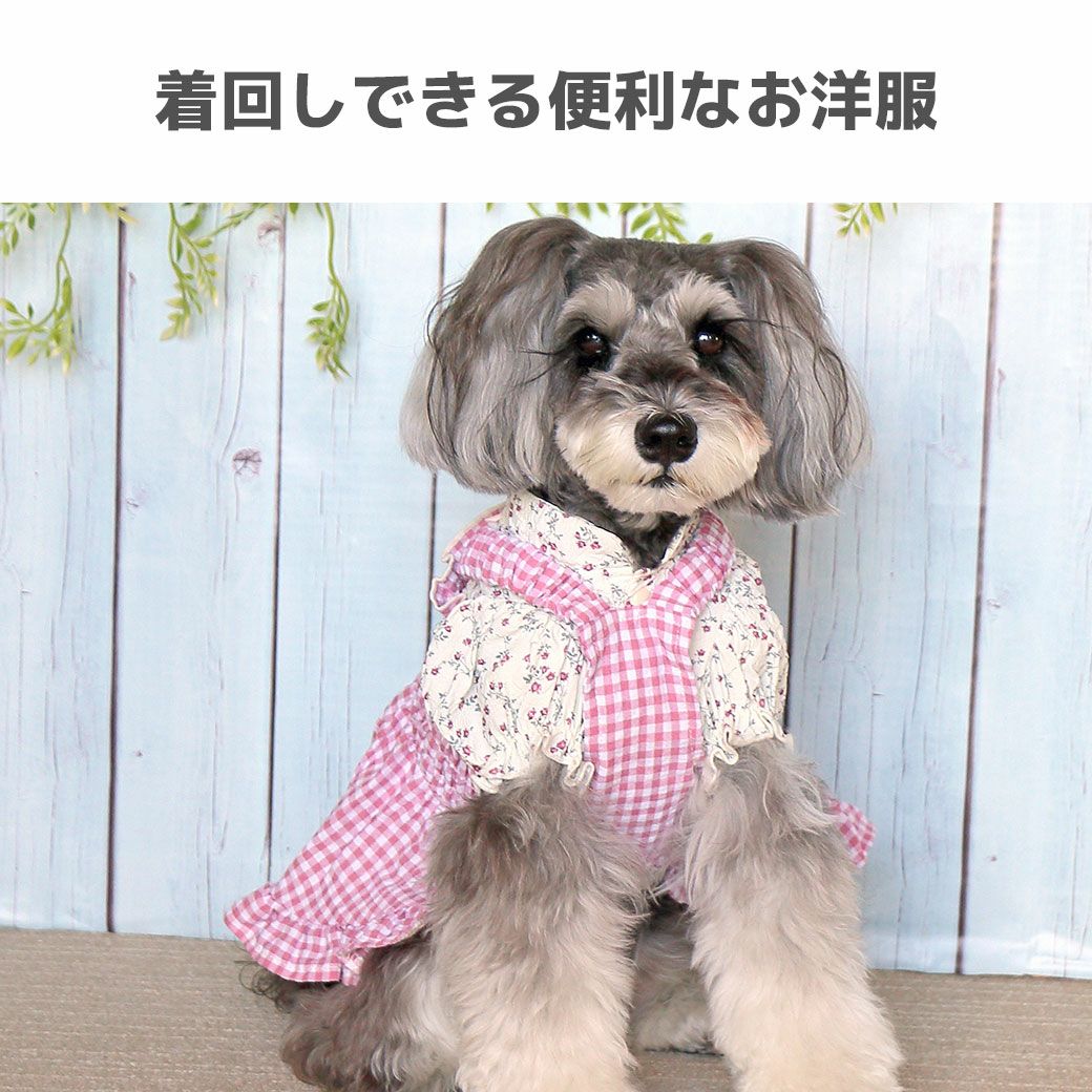 iDog フリルブラウス iDog fleur アイドッグ-犬猫ペット用品通販