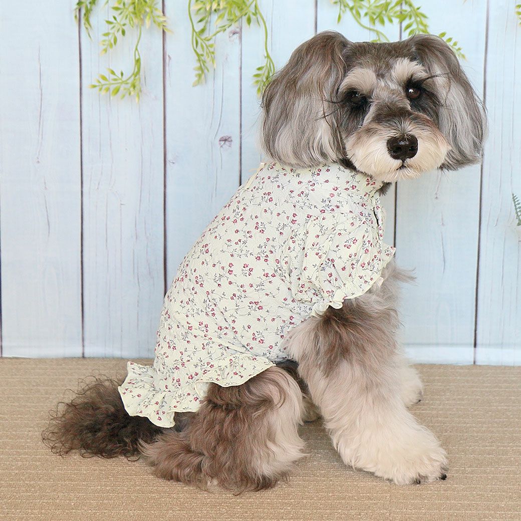 iDog フリルブラウス iDog fleur アイドッグ-犬猫ペット用品通販
