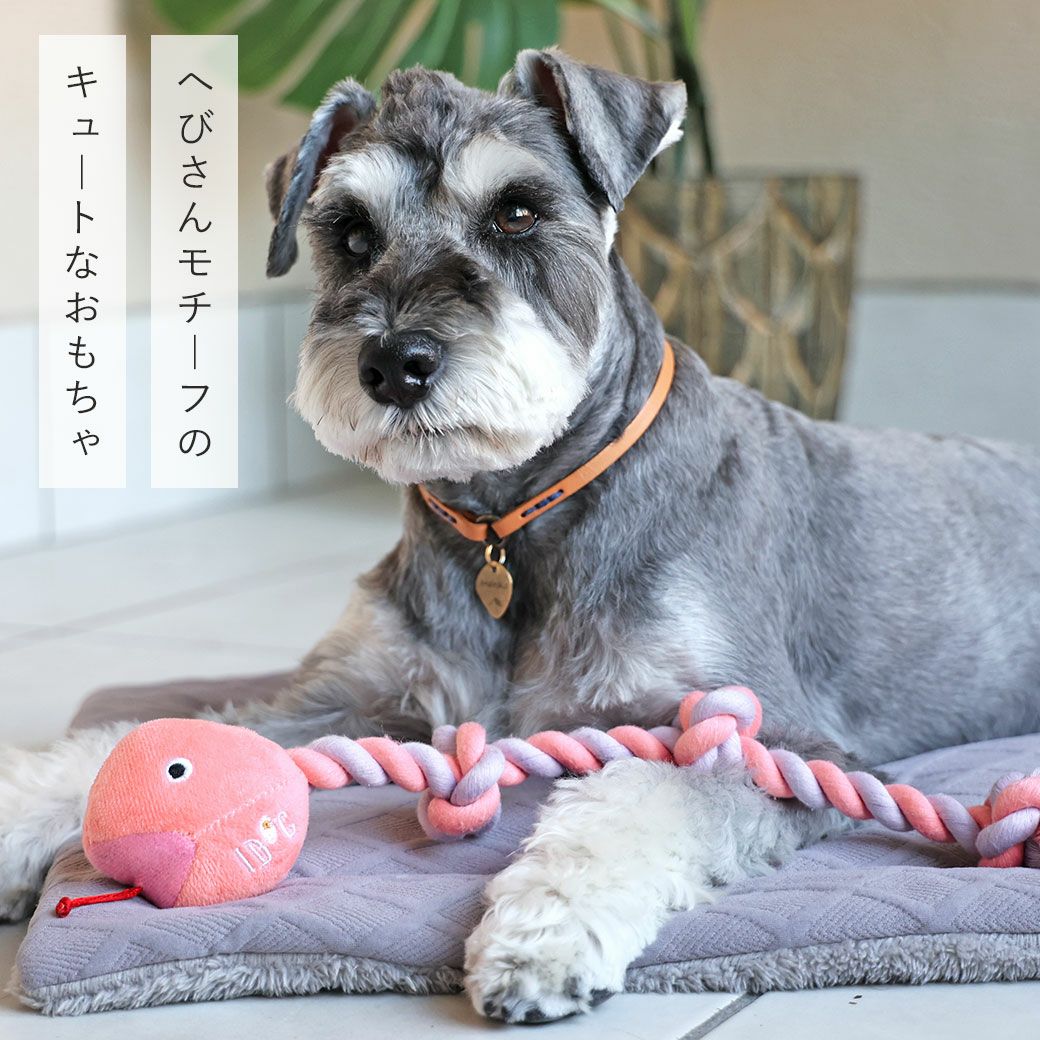 iDog にょろにょろロープへび 鳴き笛入り アイドッグ-犬猫ペット用品