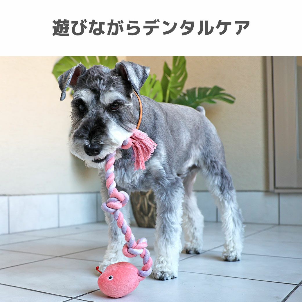 iDog にょろにょろロープへび 鳴き笛入り アイドッグ-犬猫ペット用品