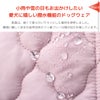 小雨や雪の日もお出かけしたい愛犬に嬉しい撥水機能のドッグウェア