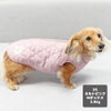 ミニチュアダックス3.8kg(首27/胴38/丈31cm)のクムちゃんはキルトピンクのDSを着用