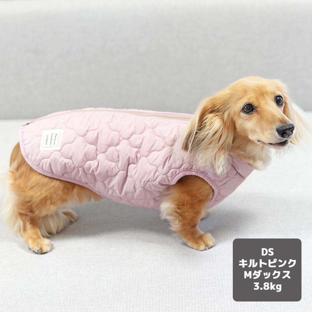 ミニチュアダックス3.8kg(首27/胴38/丈31cm)のクムちゃんはキルトピンクのDSを着用