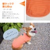 愛犬の着心地を最優先に考えたドッグウェア