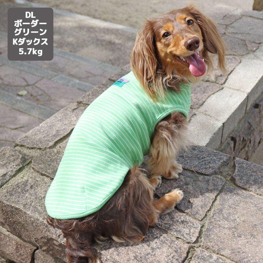 カニヘンダックス5.7kg(首25/胴43/丈37cm)のハクくんはボーダーグリーンのDLを着用