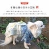 本格仕様の日本の正装袴