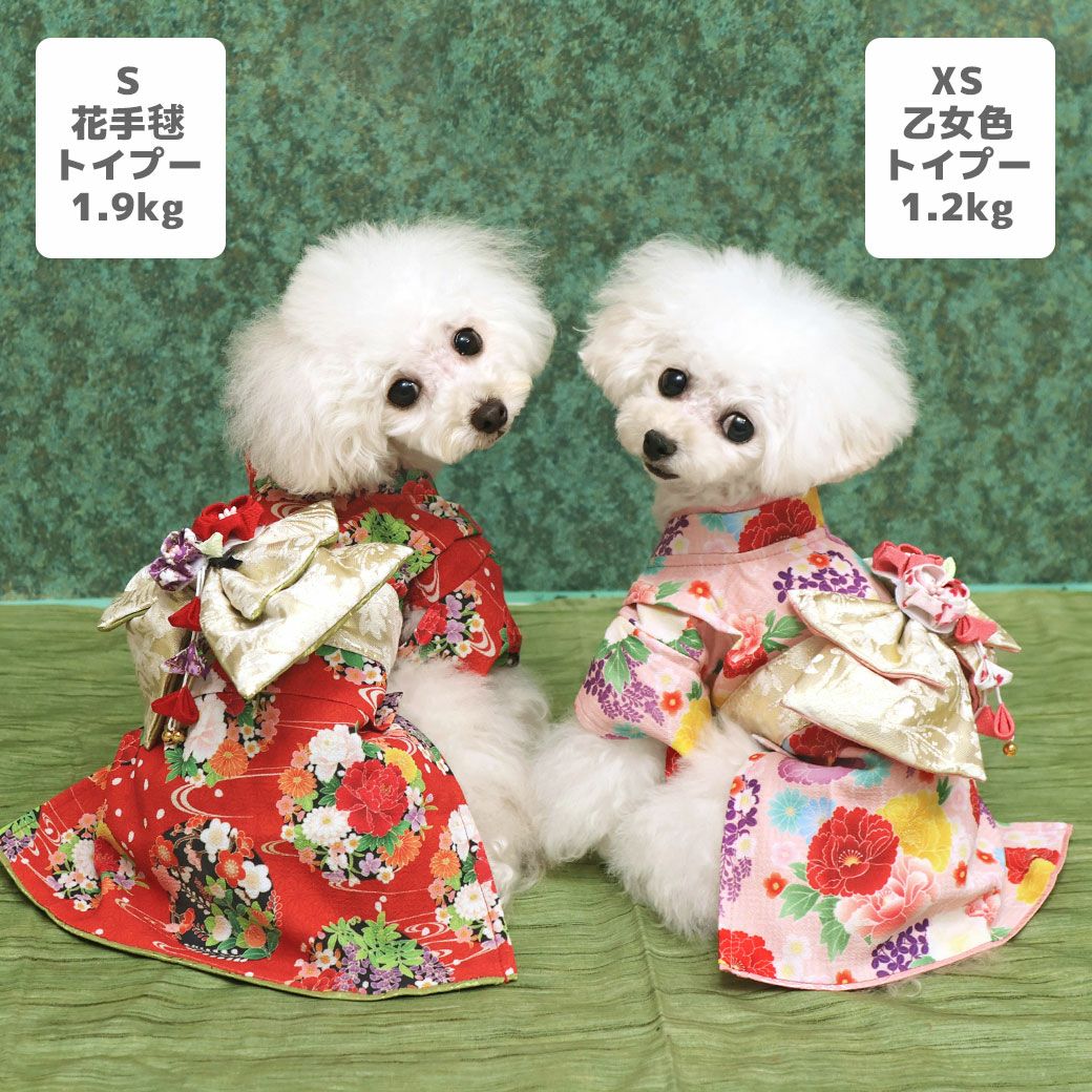 iDog 日本の伝統 華やか晴れ着 花飾り付き アイドッグ-犬猫用品通販