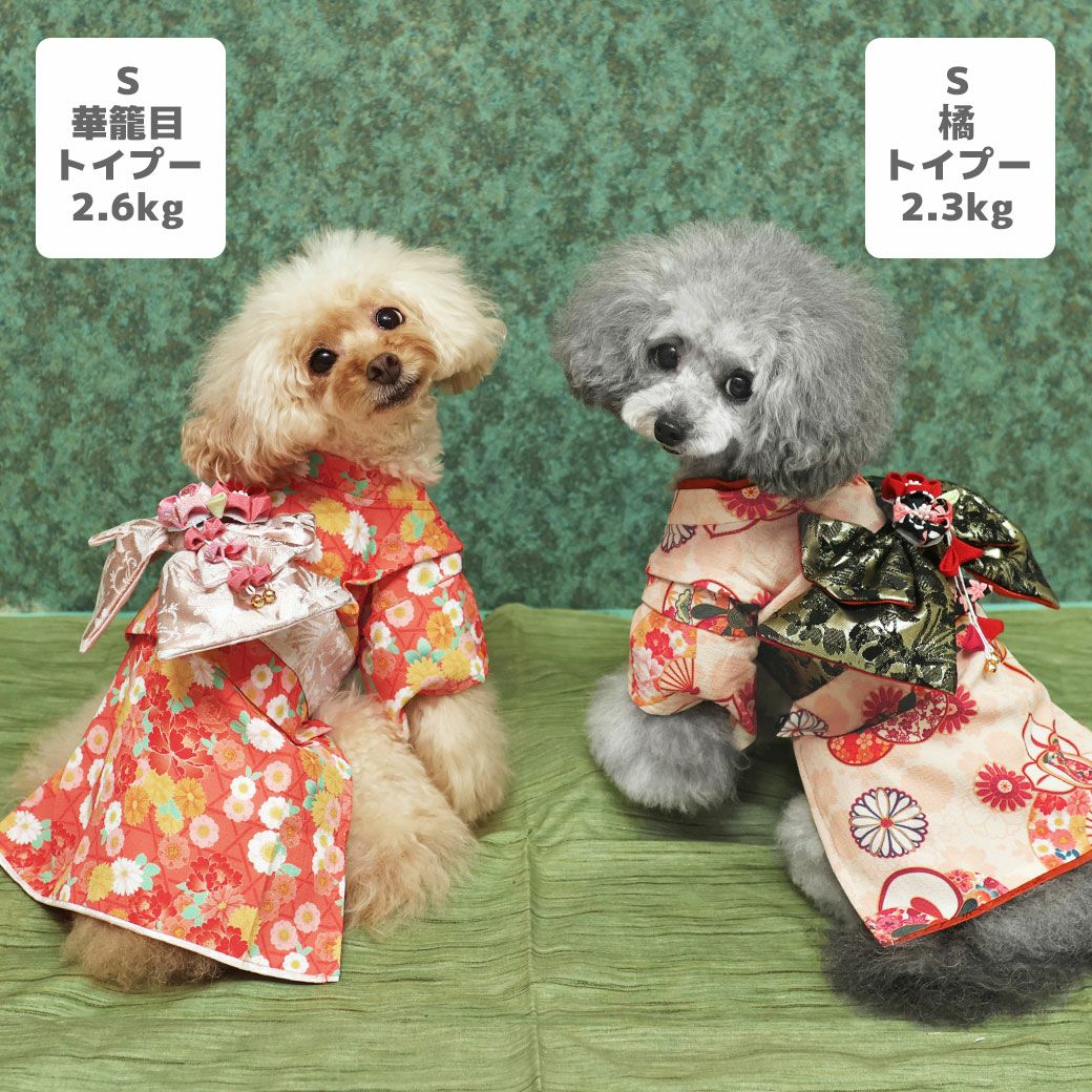 iDog 日本の伝統 華やか晴れ着 花飾り付き アイドッグ-犬猫用品通販