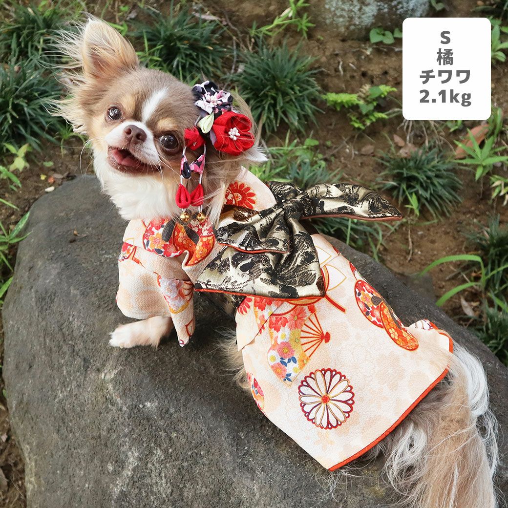 iDog 日本の伝統 華やか晴れ着 花飾り付き アイドッグ-犬猫用品通販