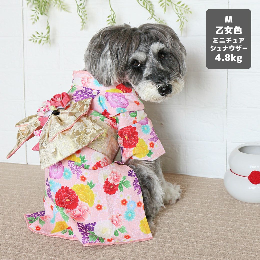 iDog 日本の伝統 華やか晴れ着 花飾り付き アイドッグ-犬猫用品通販