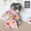 ミニチュアシュナウザー4.8kg(首22/胴39/丈29cm)のあろあちゃんは乙女色（おとめいろ）のMを着用
