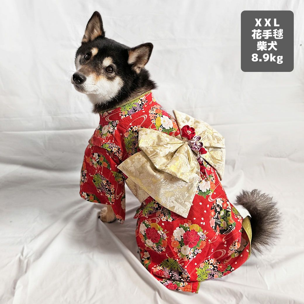 iDog 日本の伝統 華やか晴れ着 花飾り付き アイドッグ-犬猫用品通販