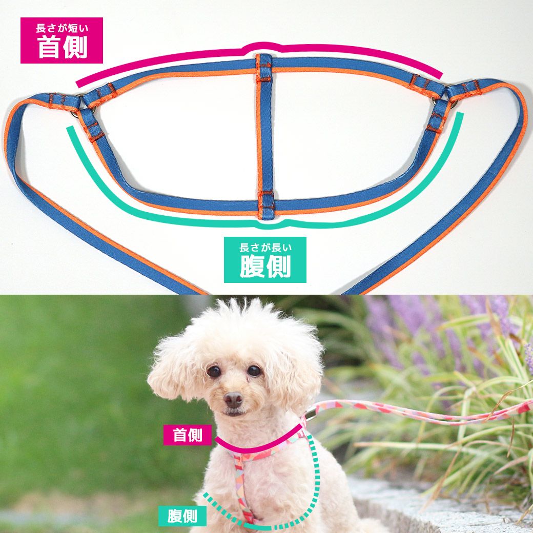iDog WALKA HOLIC ワンタッチハーネス アイドッグ-犬猫ペット用品通販