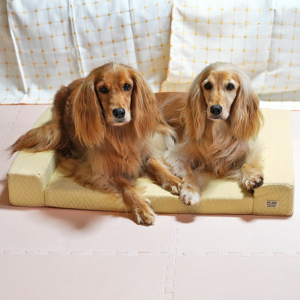 IDOG&ICAT UNAGE アンエイジ 体圧分散シニアローベッド カドラータイプ IDOG&ICAT UNAGE アンエイジ 体圧分散シニアローベッド カドラータイプ