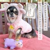 iDogひつじおみくじアイドッグ