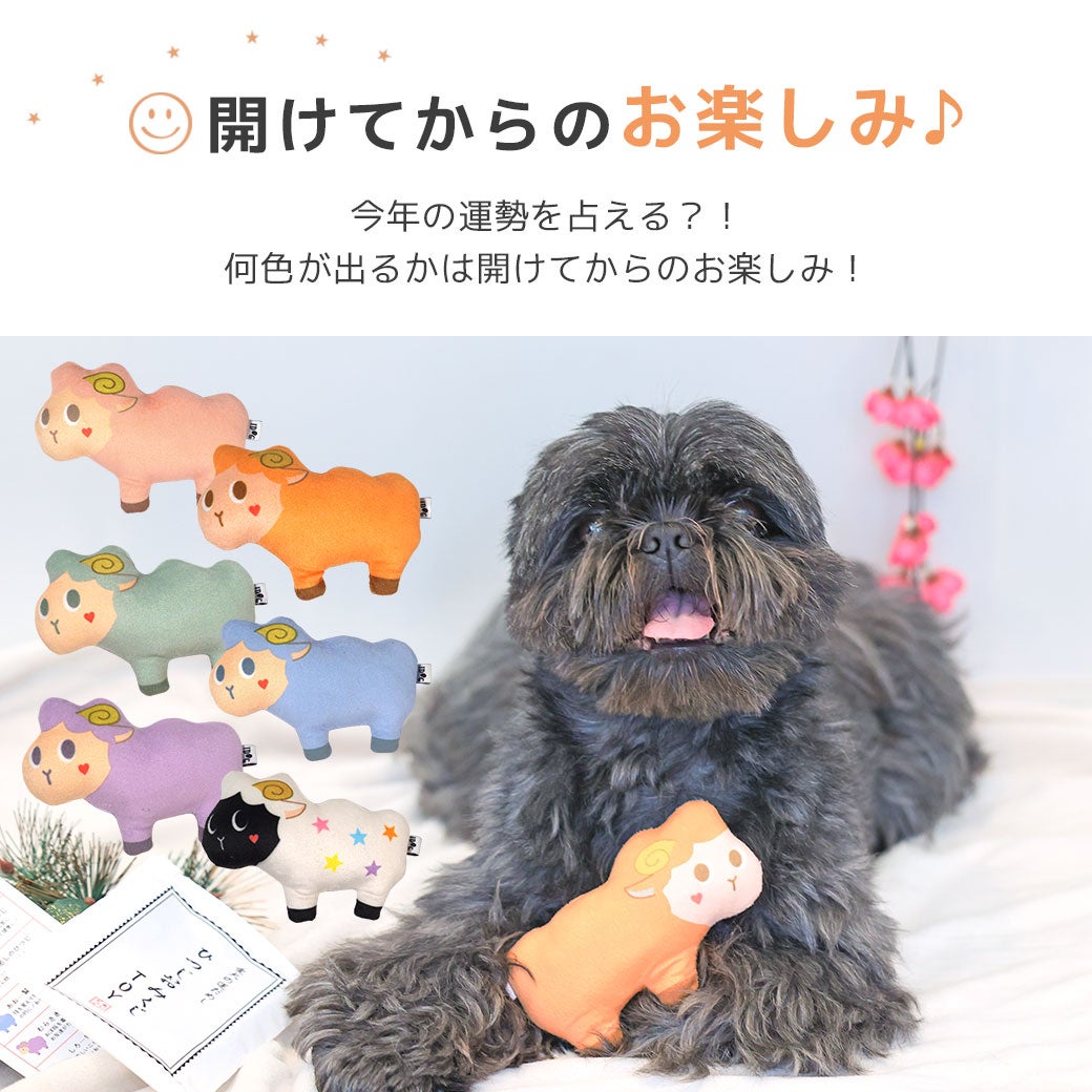 何色が出るかは開けてからのお楽しみ