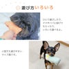 遊び方いろいろ