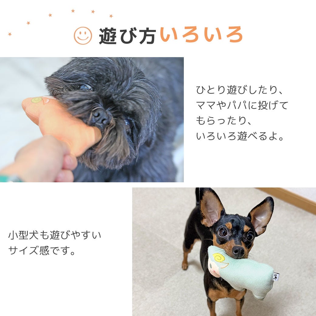 遊び方いろいろ
