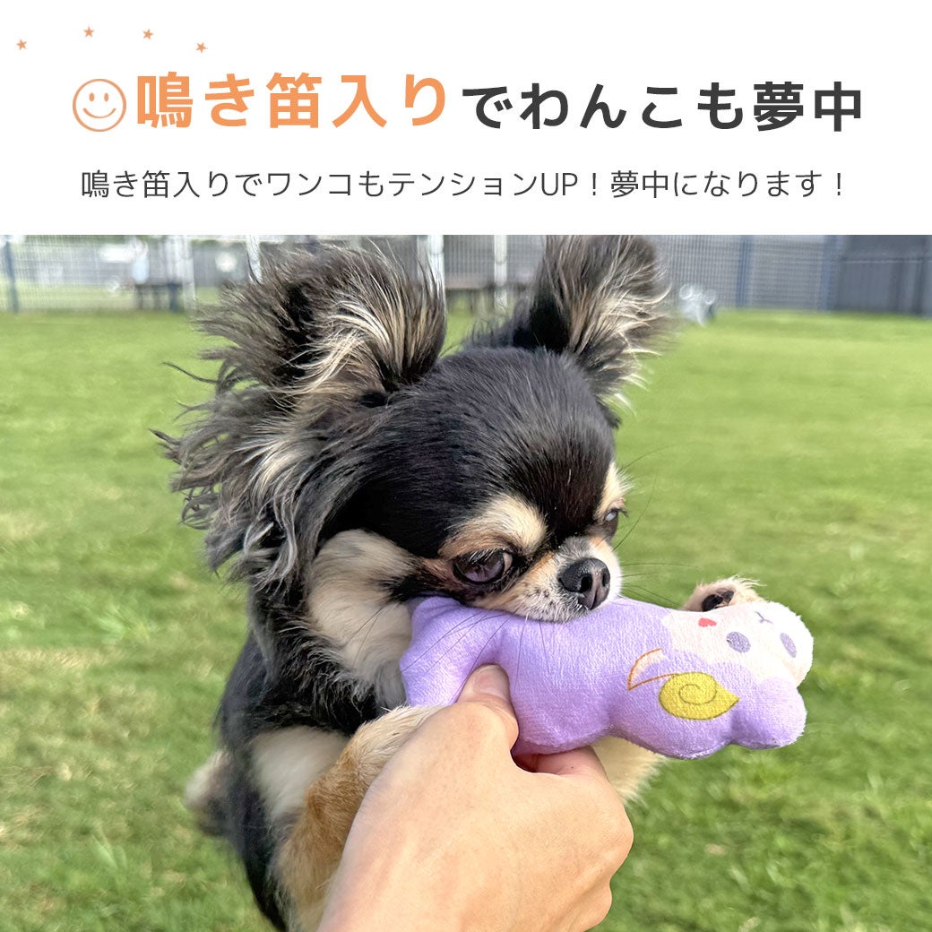 鳴き笛入りでわんこも夢中