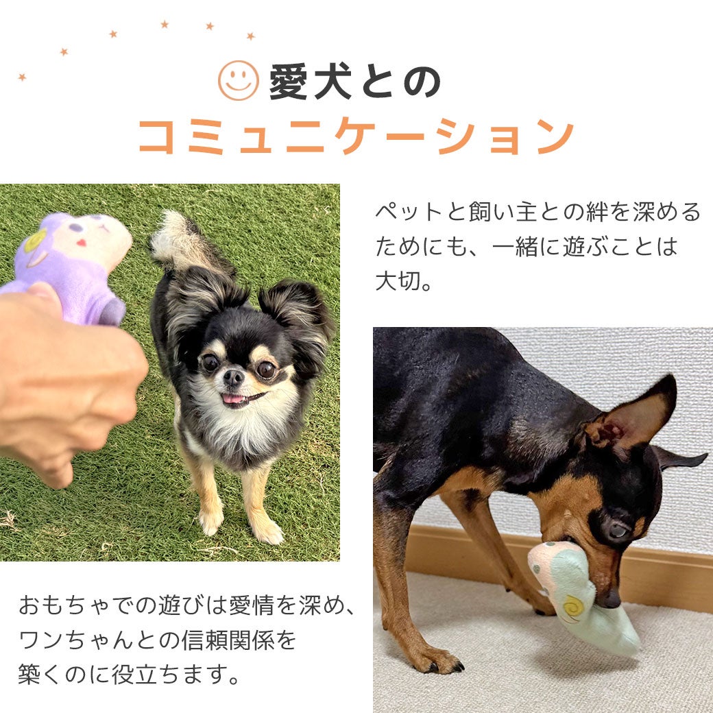 愛犬とのコミュニケーション