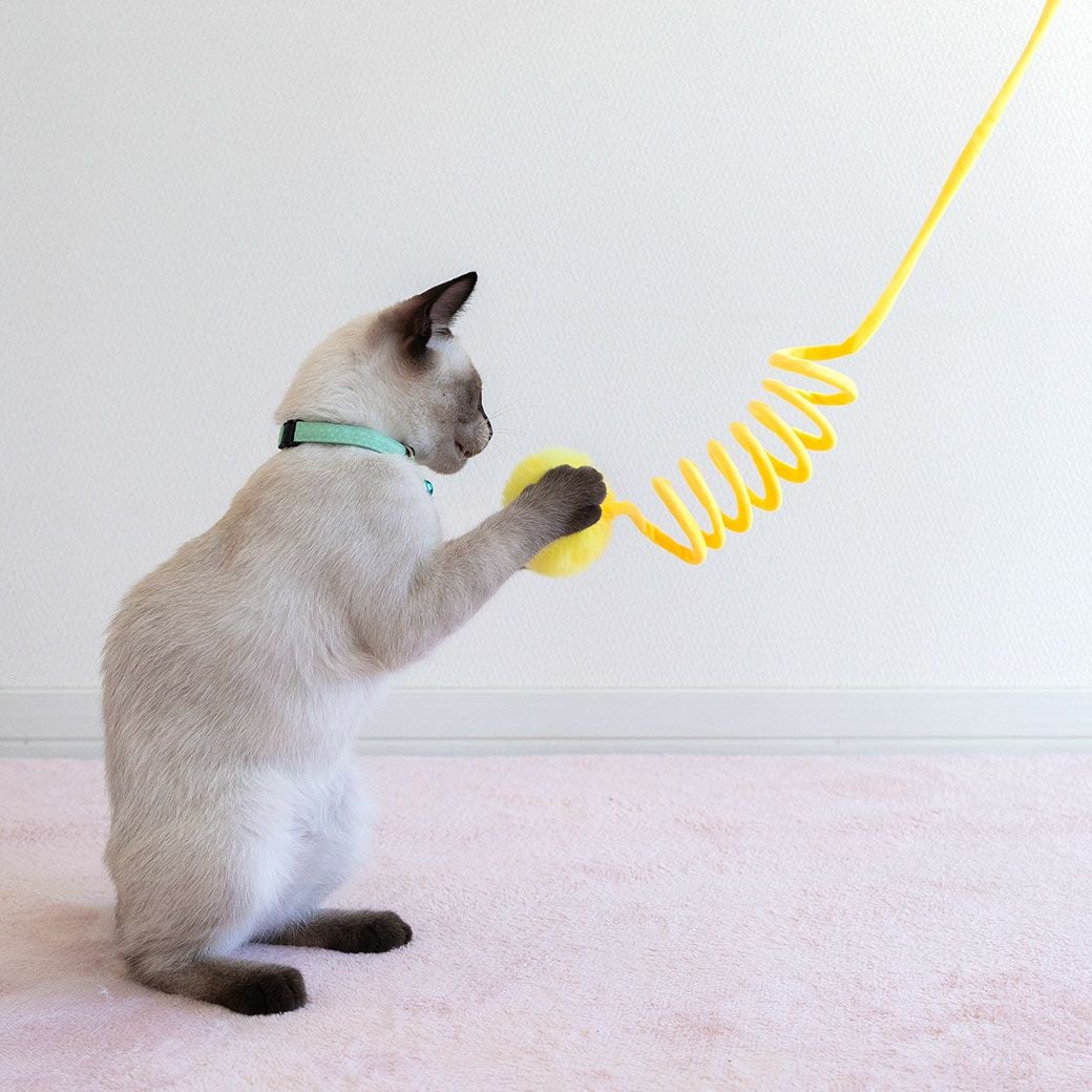 iCat 吊り下げびよよんじゃらし アイドッグ-犬猫ペット用品通販