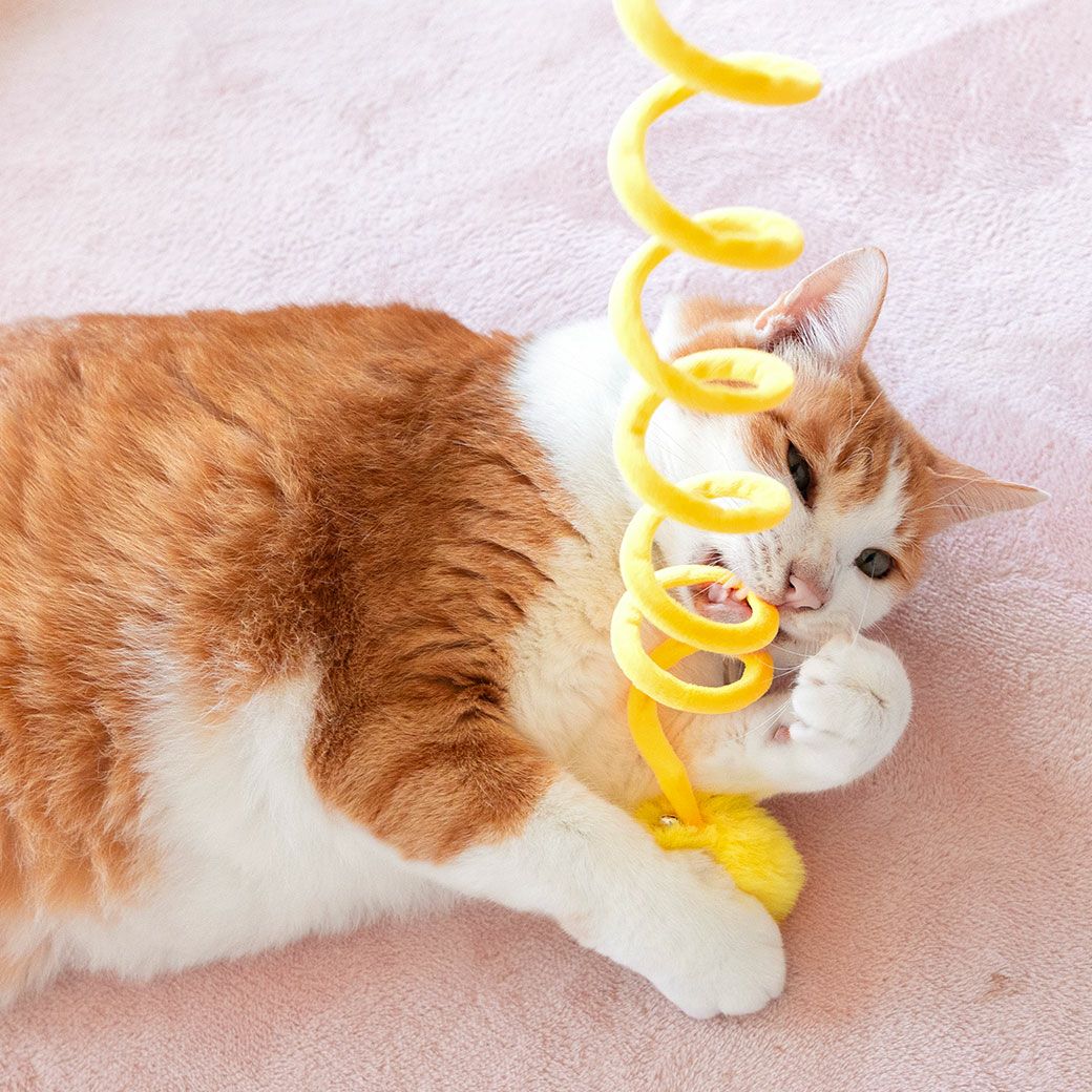 値下げ！猫用品 GEX（ジェックス） ピュアクリスタル ドリンクボウル サークル・ケージ