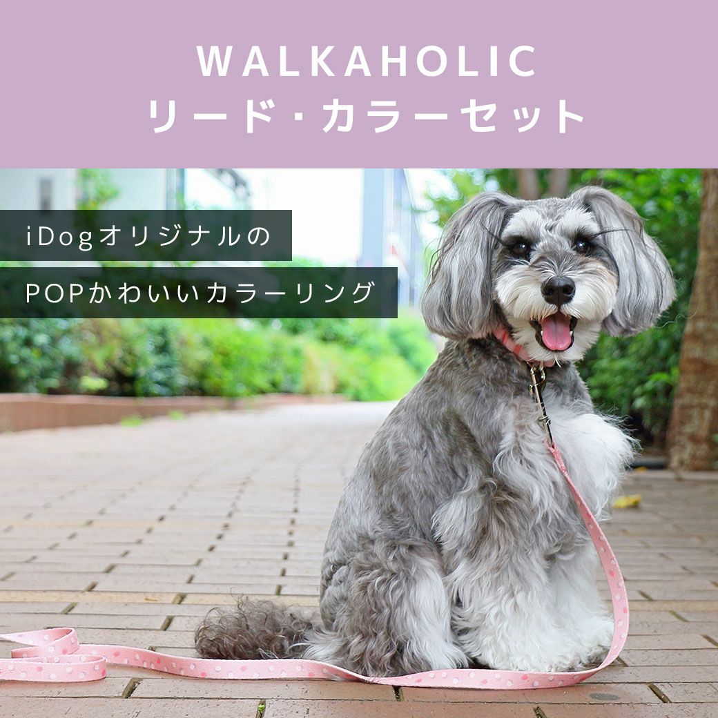 iDog WALKA HOLIC リード・カラーセット アイドッグ-犬猫ペット用品
