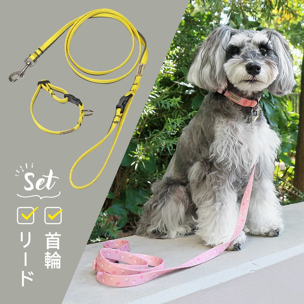 iDog WALKA HOLIC リード・カラーセット アイドッグ-犬猫ペット用品