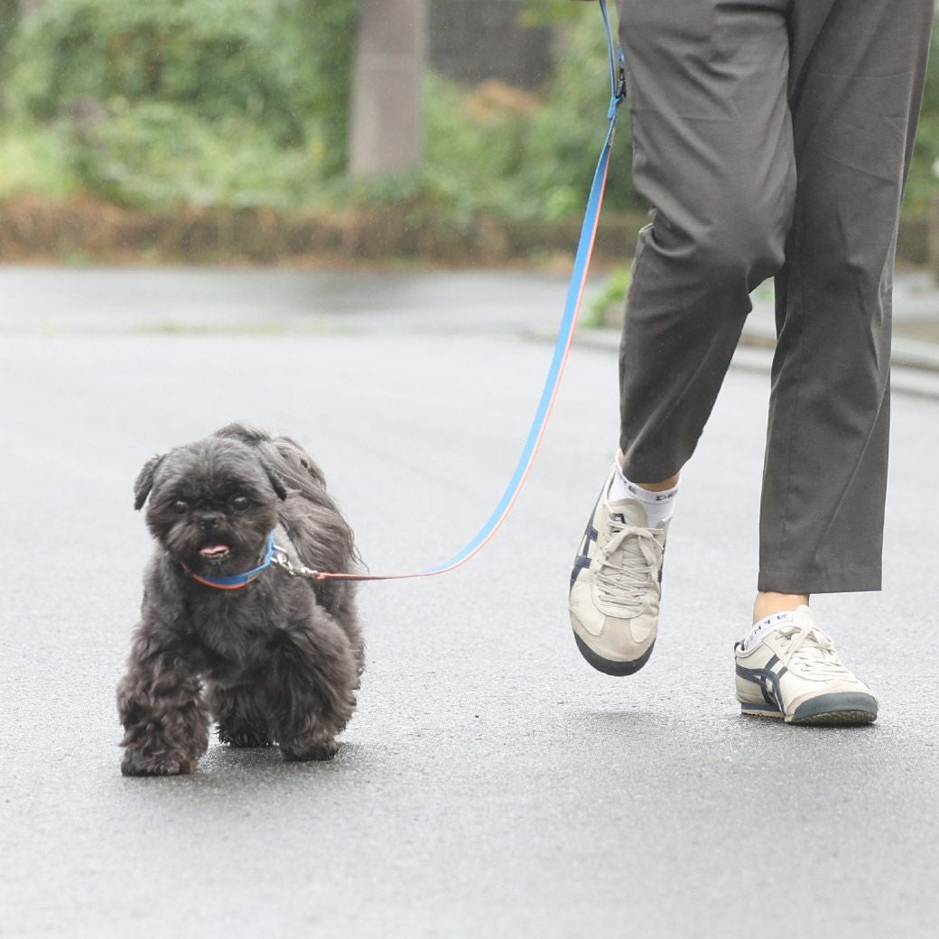 iDog WALKA HOLIC リード・カラーセット アイドッグ-犬猫ペット用品