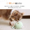 鈴の楽しい音が響き、わんこが夢中に
