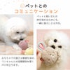 おもちゃ遊びでワンちゃんとなかよくなろう