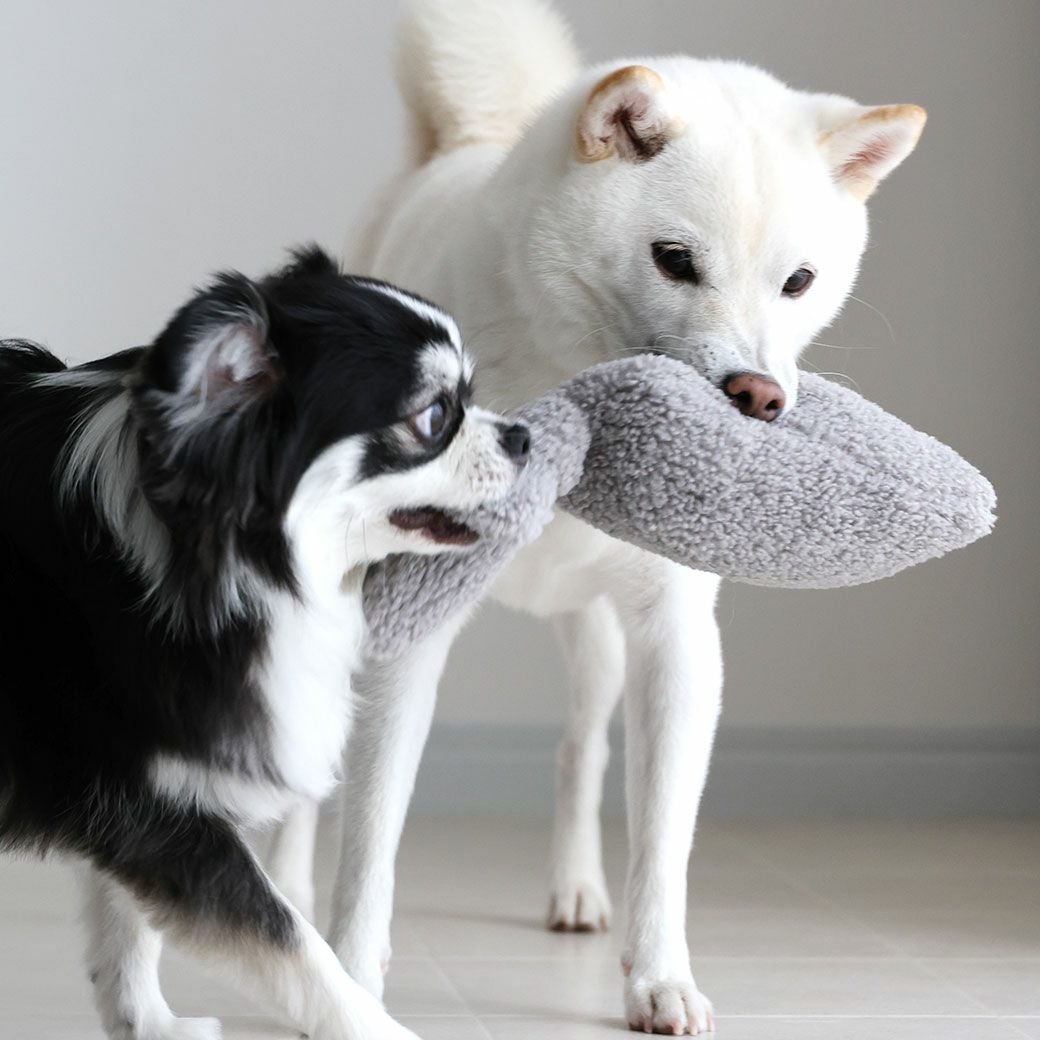IDOG&ICAT iDog fleur ラビット カシャカシャ入り アイドッグ-犬猫用品