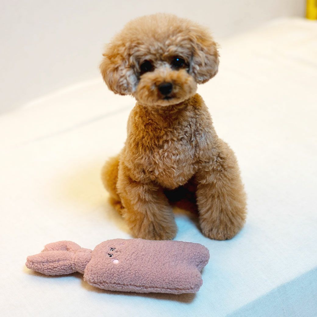 IDOG&ICAT iDog fleur ラビット カシャカシャ入り アイドッグ-犬猫用品