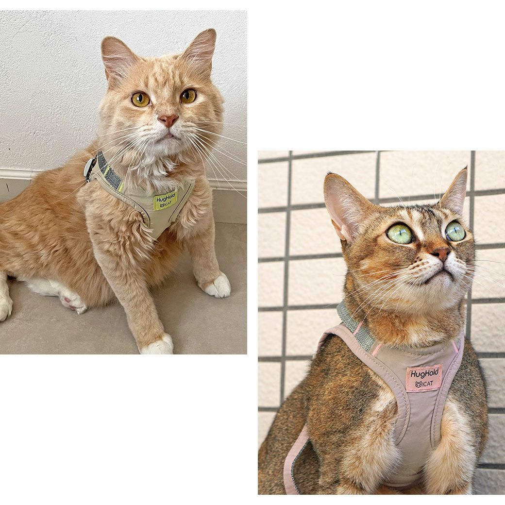 iCat HugHold ハグホールド 猫用コンフォートハーネス リード付き 撥水