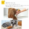 手足の色をかえてカラフルな仕上がり