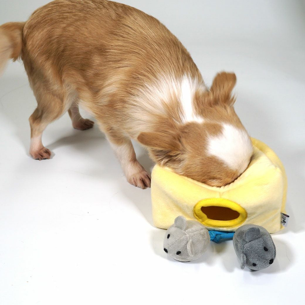 iDog 知育トイ チーズとネズミ カシャカシャと鳴き笛入り アイドッグ