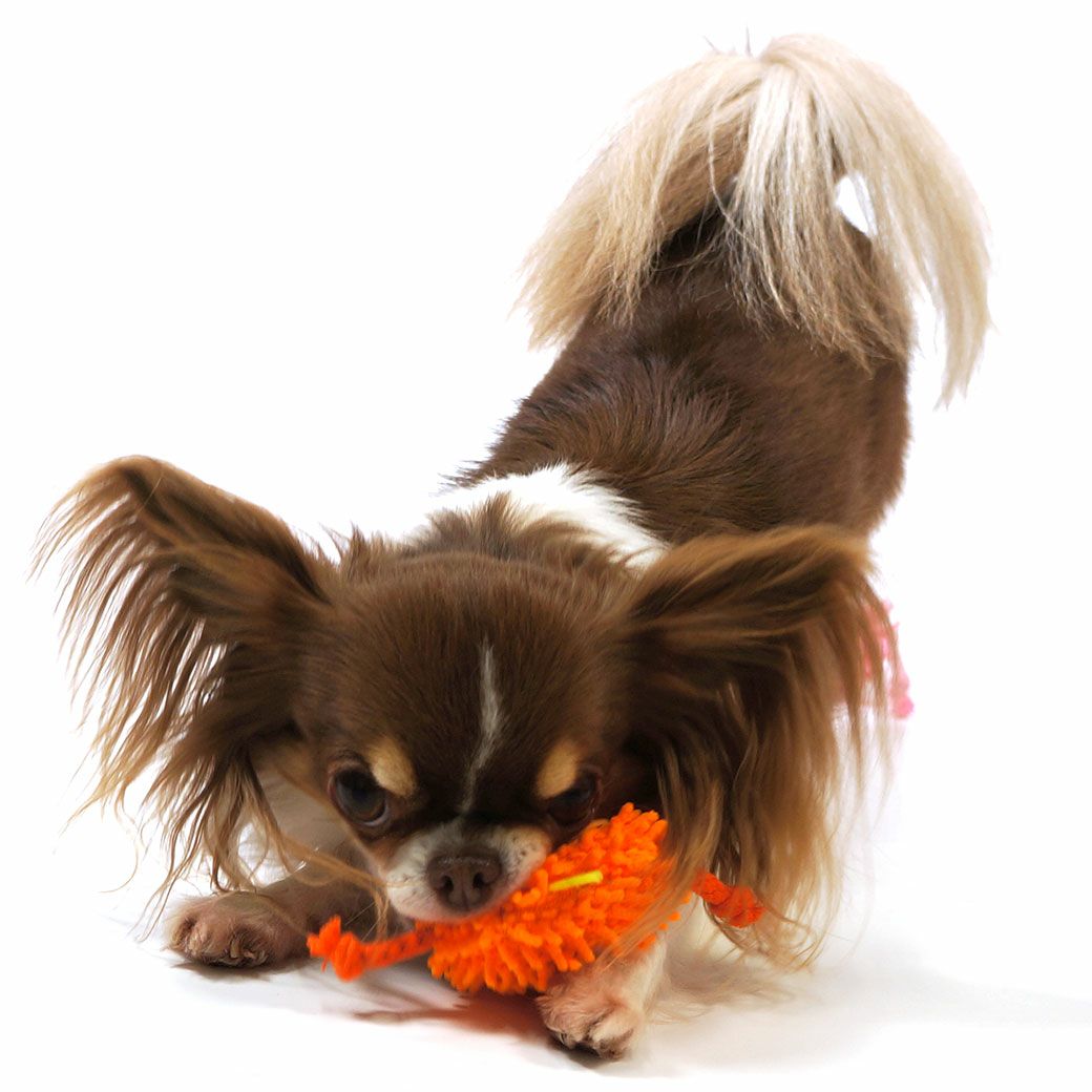 iDog もけもけモンスター 鳴き笛入り アイドッグ アイドッグ-犬猫用品