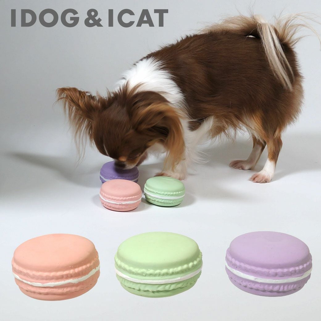 iDog ラテックスTOY マカロン アイドッグ アイドッグ-犬猫用品通販