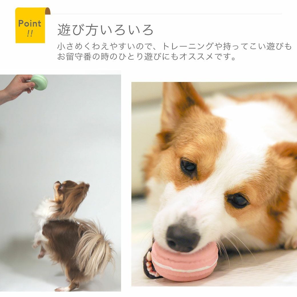 iDog ラテックスTOY マカロン アイドッグ アイドッグ-犬猫用品通販