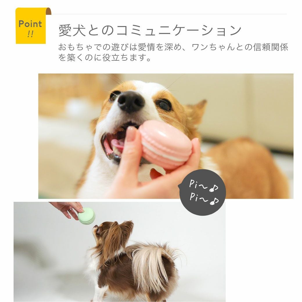 iDog ラテックスTOY マカロン アイドッグ アイドッグ-犬猫用品通販